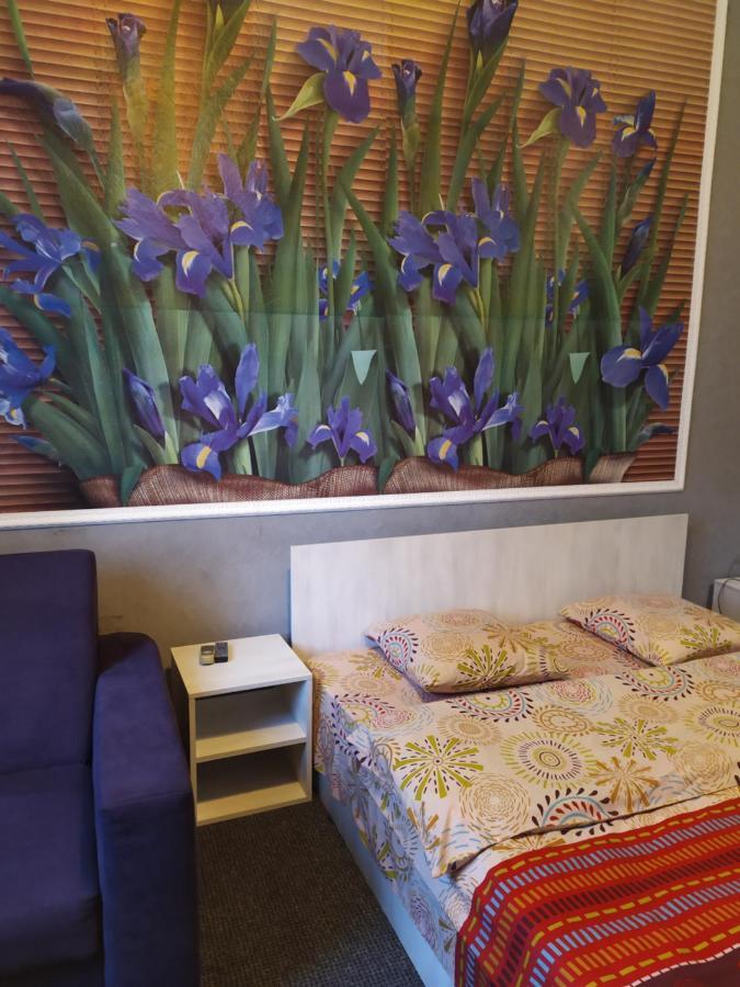 Mini Hotel Na Gasheka キエフ エクステリア 写真
